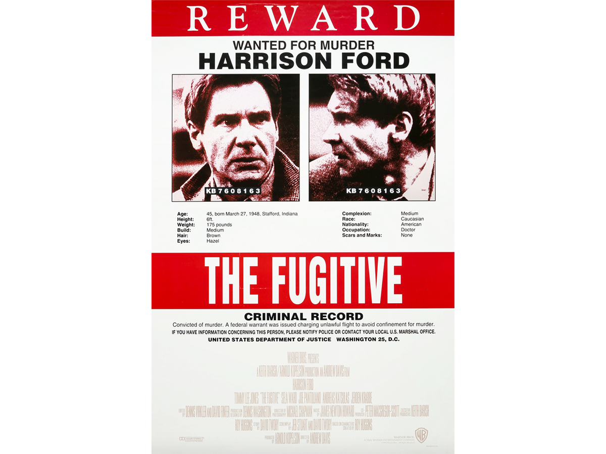 The Fugitive (1993) – The Moment