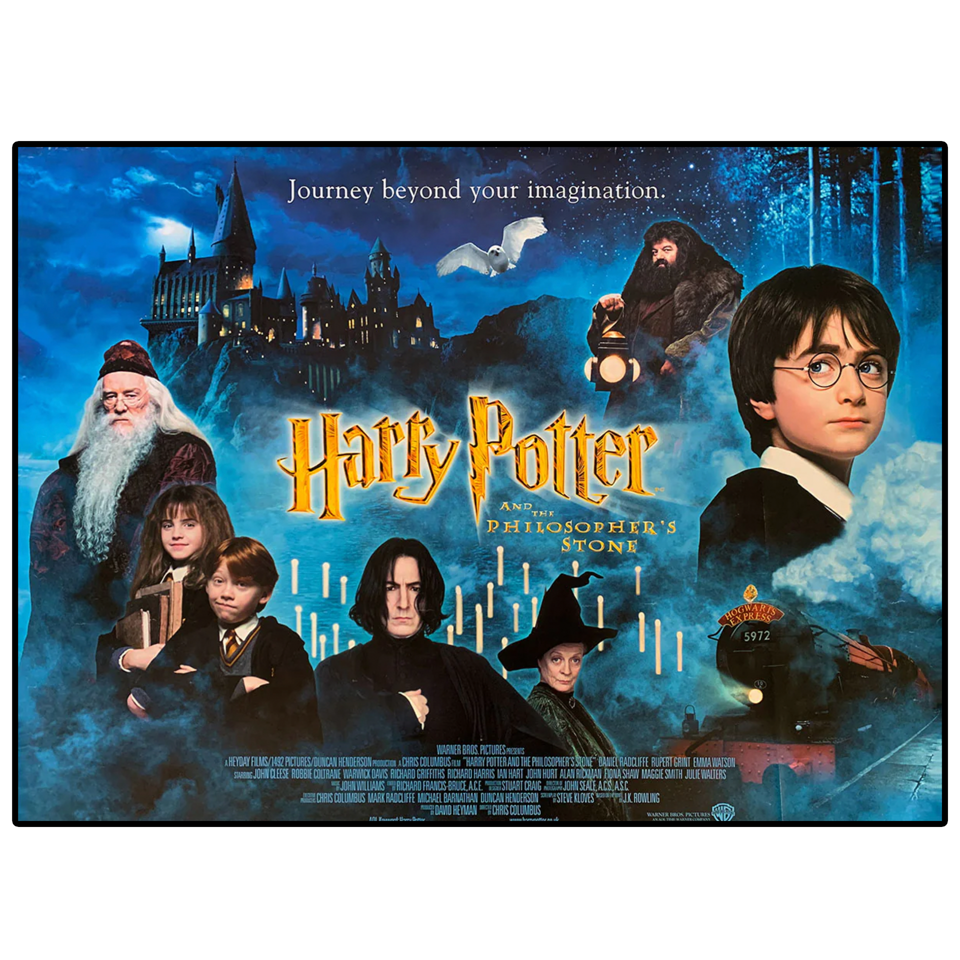 Harry Potter and The Philosopher's Stone (2001)