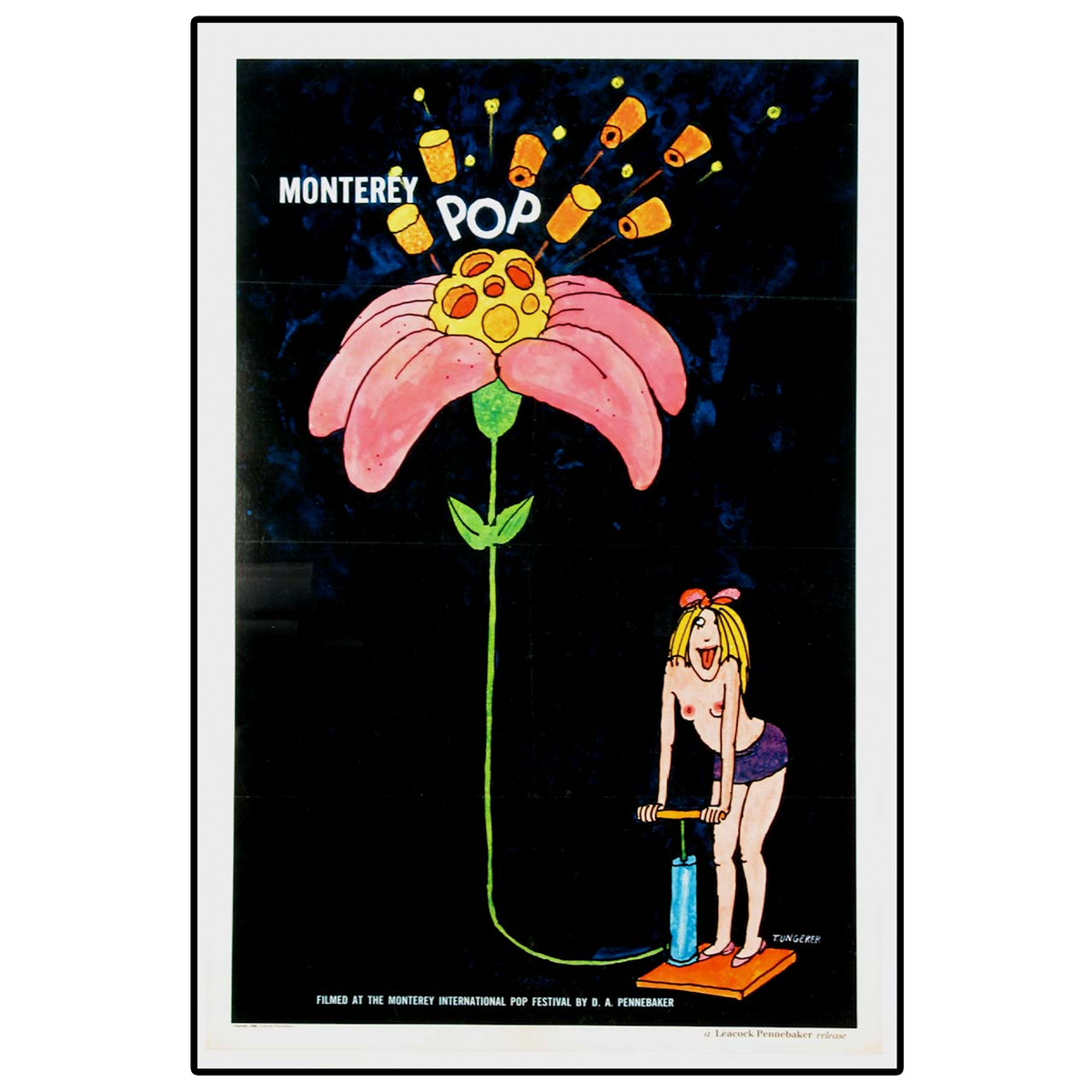 Monterey Pop (1968)